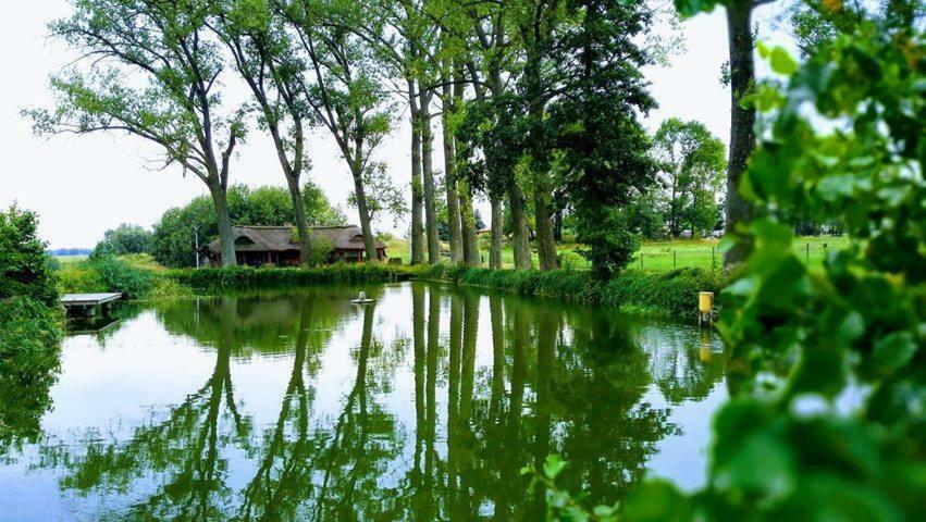 Hotel&Spa Dwor Droblin Leśna Podlaska Eksteriør bilde